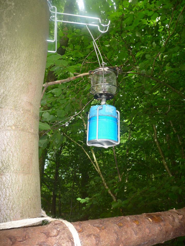 Sint-Martinus den XIIde - Kamp Curfoz Algemeen 2013